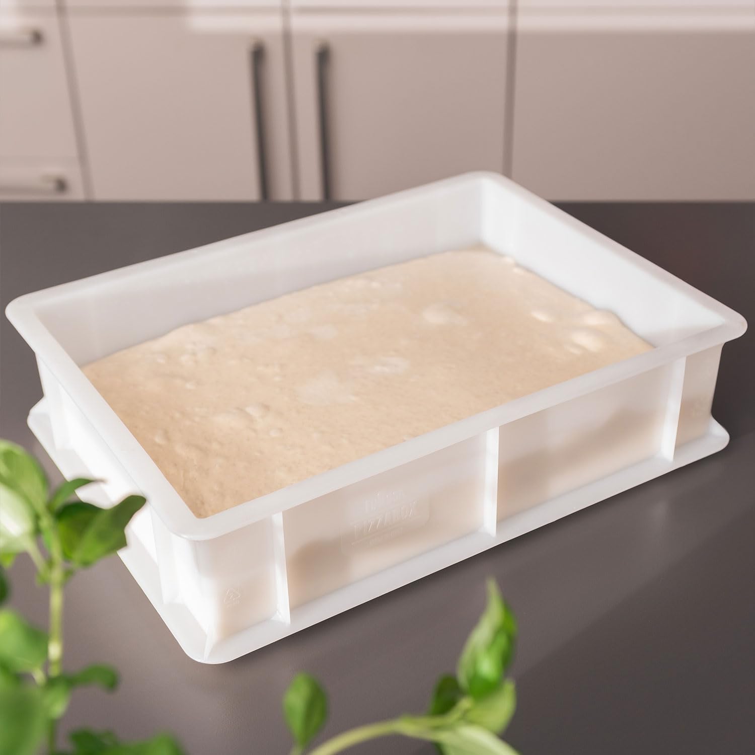 GENUS DEI | Hefebox für Pizza und Brot | Lebensmittelbehälter für Teig | Teigbox | Plastikbox mit Deckel 30 x 40 x 10 cm