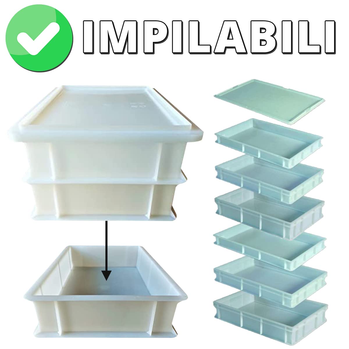 GENUS DEI | Hefebox für Pizza und Brot | Lebensmittelbehälter für Teig | Teigbox | Plastikbox mit Deckel 30 x 40 x 10 cm